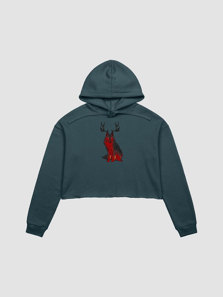 Fleece Crop Hoodie - Welcome To The Fire Pit product image (5)