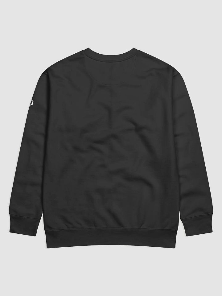 GeoPup: The Kaleidoscope Companion Sweatshirt product image (2)