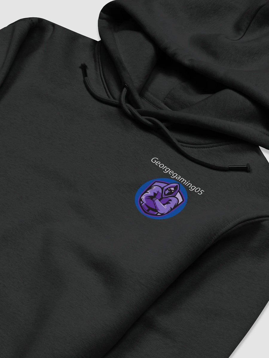 Unisex Hoodie product image (2)