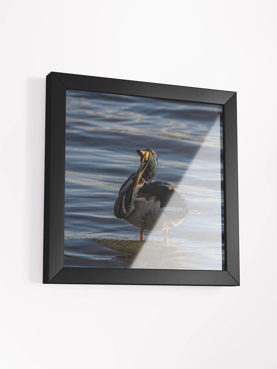 Ducking Fabulous product image (3)