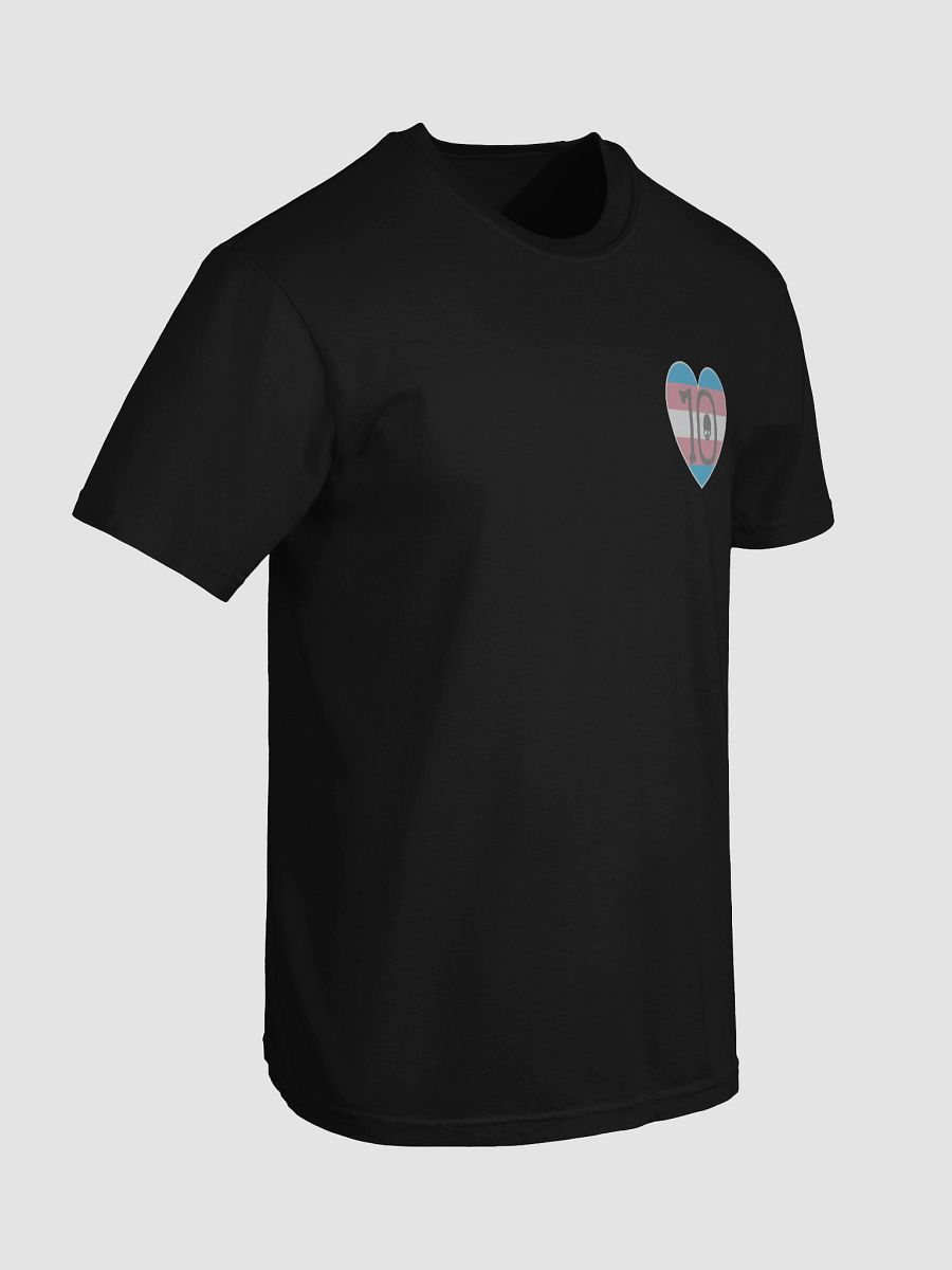 Trans Pride - Rule 10 T-Shirt product image (68)