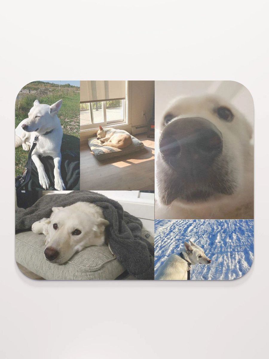 the big collage product image (1)