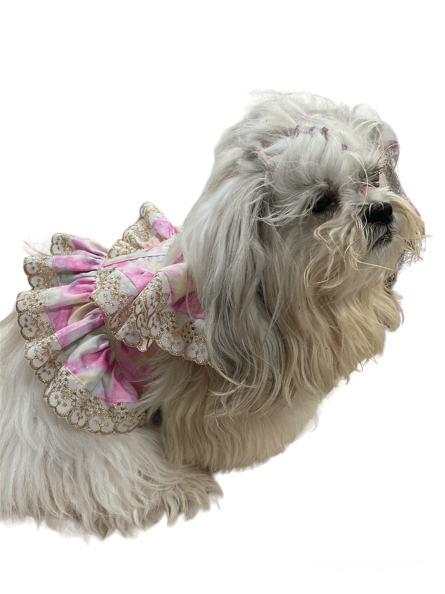 Peitoral Zayra - Modelagem Pet PDF product image (5)