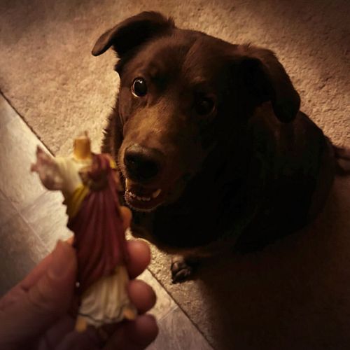 Laaaaawwwdd have mercy Griffey just ate Jesus 😳 …Luckily for Griff I had no choice - I had to forgive him 🤣🙏🏼