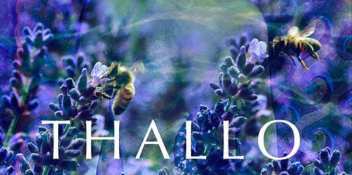 Hiraeth: Thallo