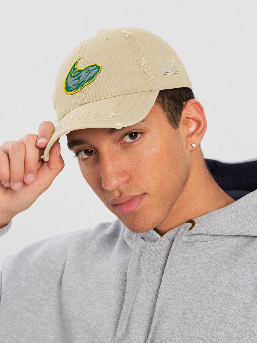Mississippi Mudcats Distressed Dad Hat product image (13)