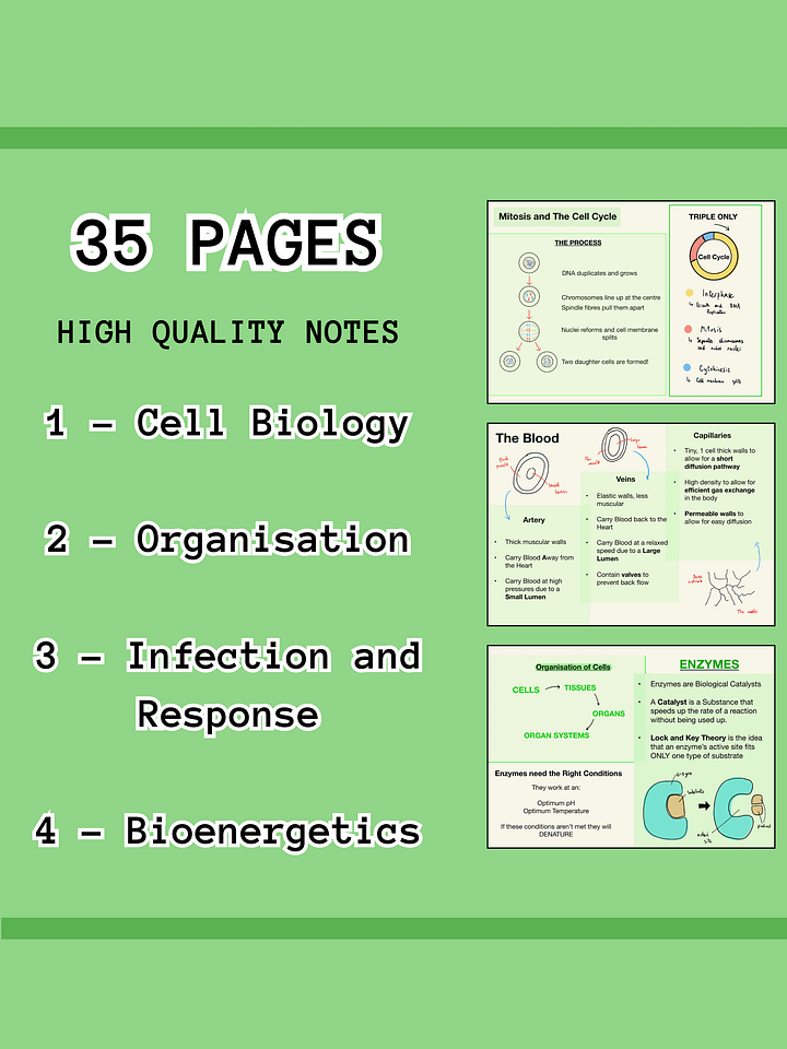 AQA GCSE Biology Paper 1 Revision Notes (35 Pages) | Revision Made Easy product image (2)