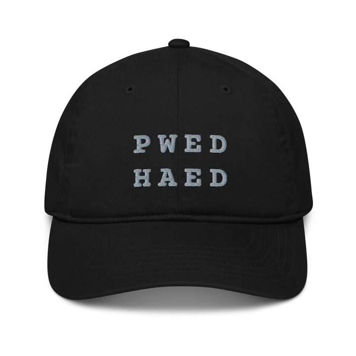 BED HEAD in steno - Organic Cotton Dad Cap (Gray) product image (1)