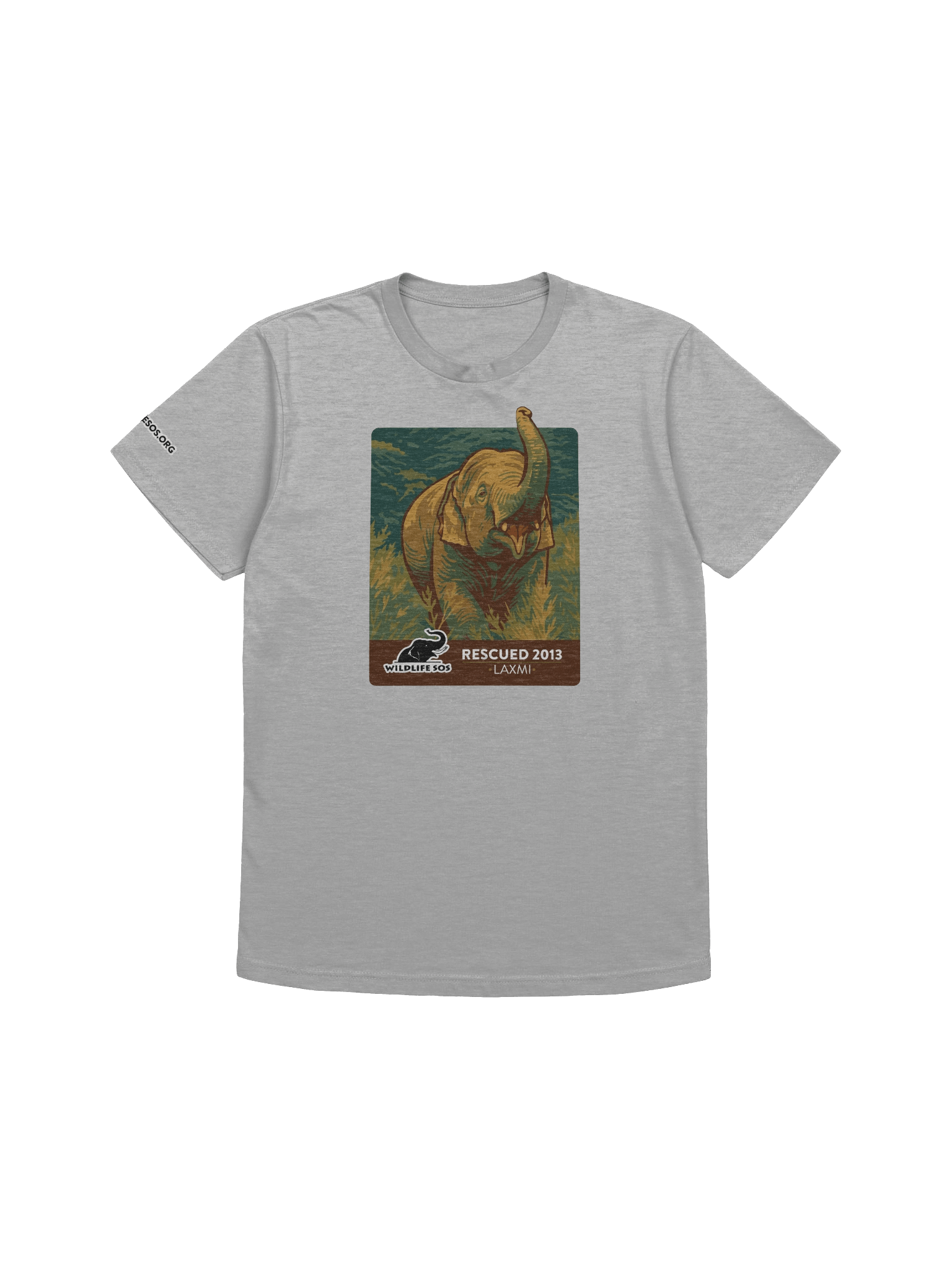 Laxmi - Rescued 2013! product image (12)