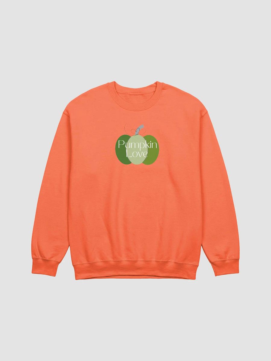 Pumpkin Love Graphic Crewneck product image (3)