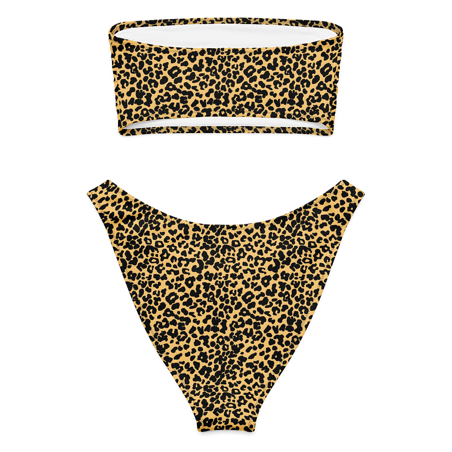 Fierce & Free: Wild Spirit Bandeau Bikini Set product image (8)
