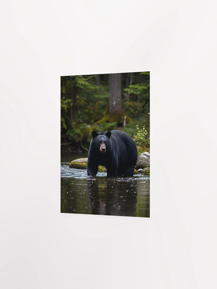 Smoky Mountain Black Bear Cove Poster product image (6)