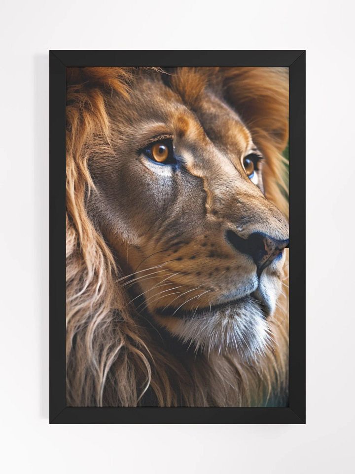 Lion - Poster product image (1)