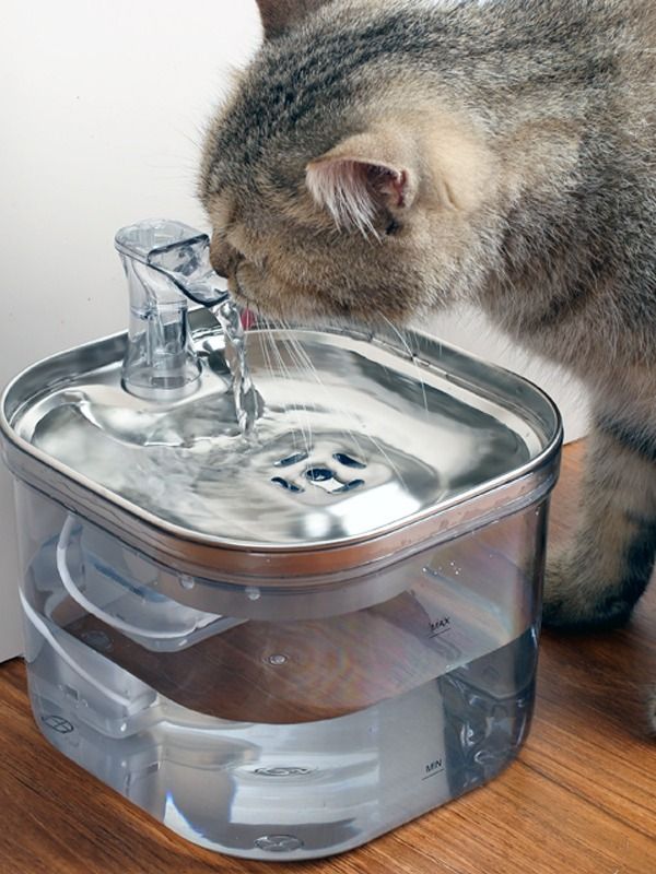 Pet Cat Dog Stainless Steel Automatic Circulation Water Dispenser Intelligent Fountain Pets Accessories product image (3)