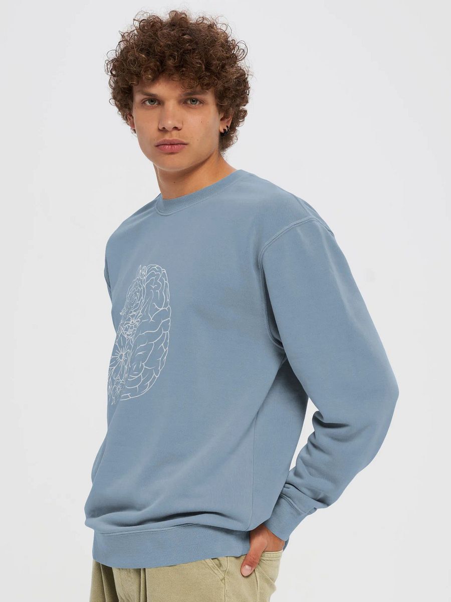 all hail the brain (sweatshirt) product image (35)