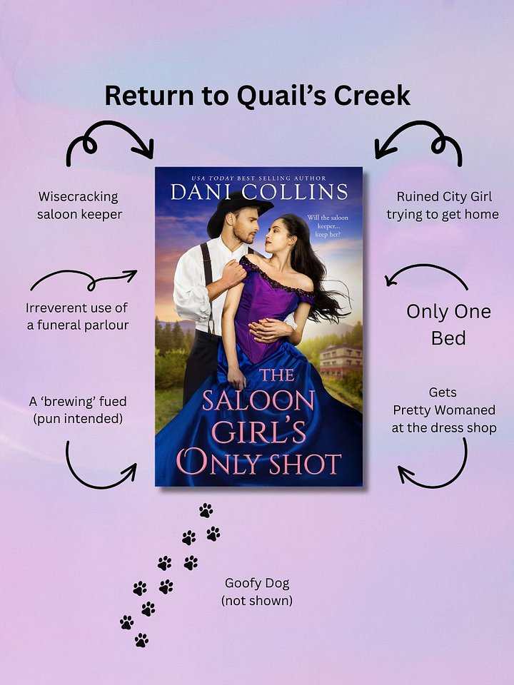 The Saloon Girl's Only Shot product image (2)