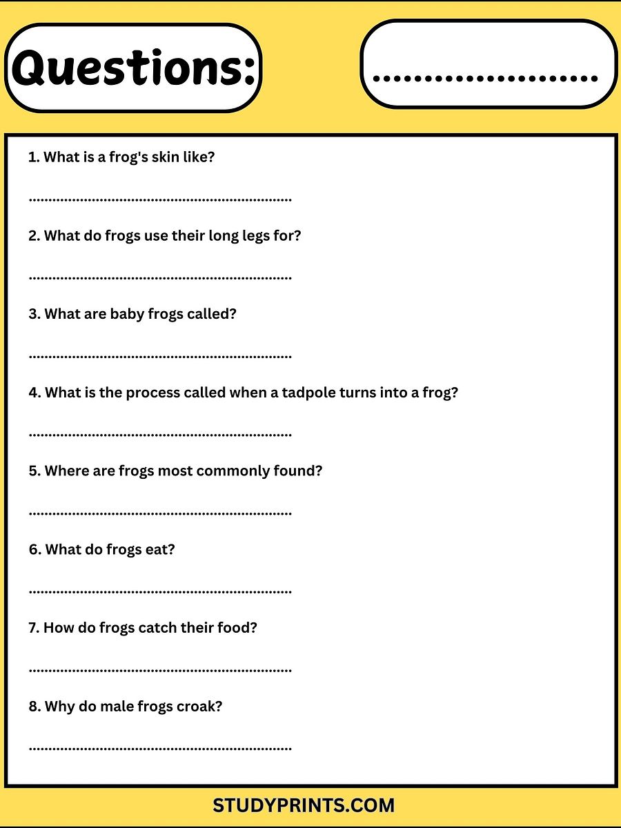 all about frogs reading comprehension worksheets product image (3)