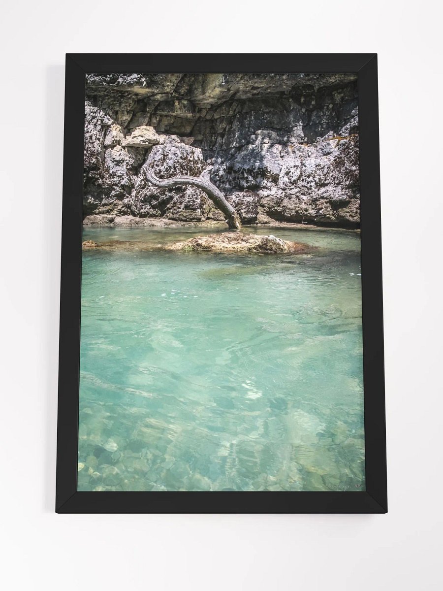 Print Fine Art Photography - Wild Roots of Verdon - France product image (7)