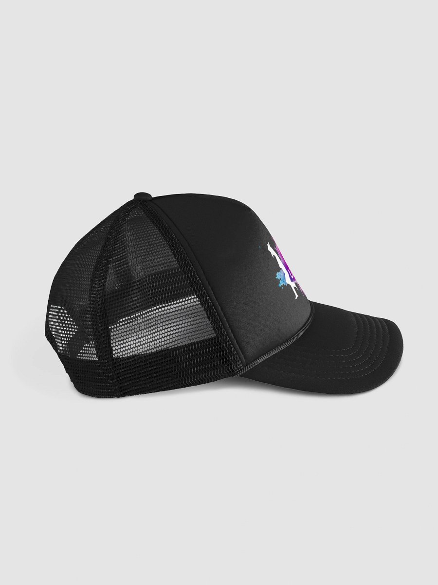 C&G Linedance Hat product image (3)