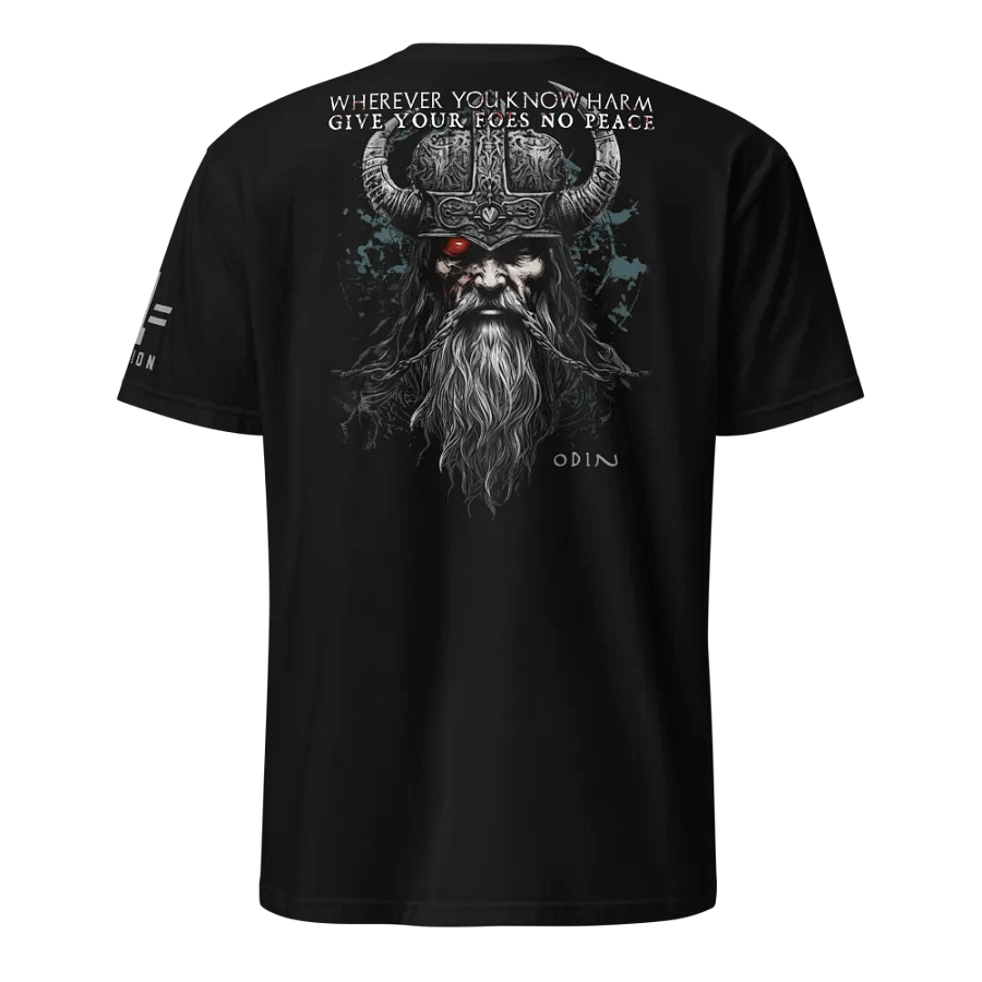 Odin: Give your Foes No Peace product image (1)