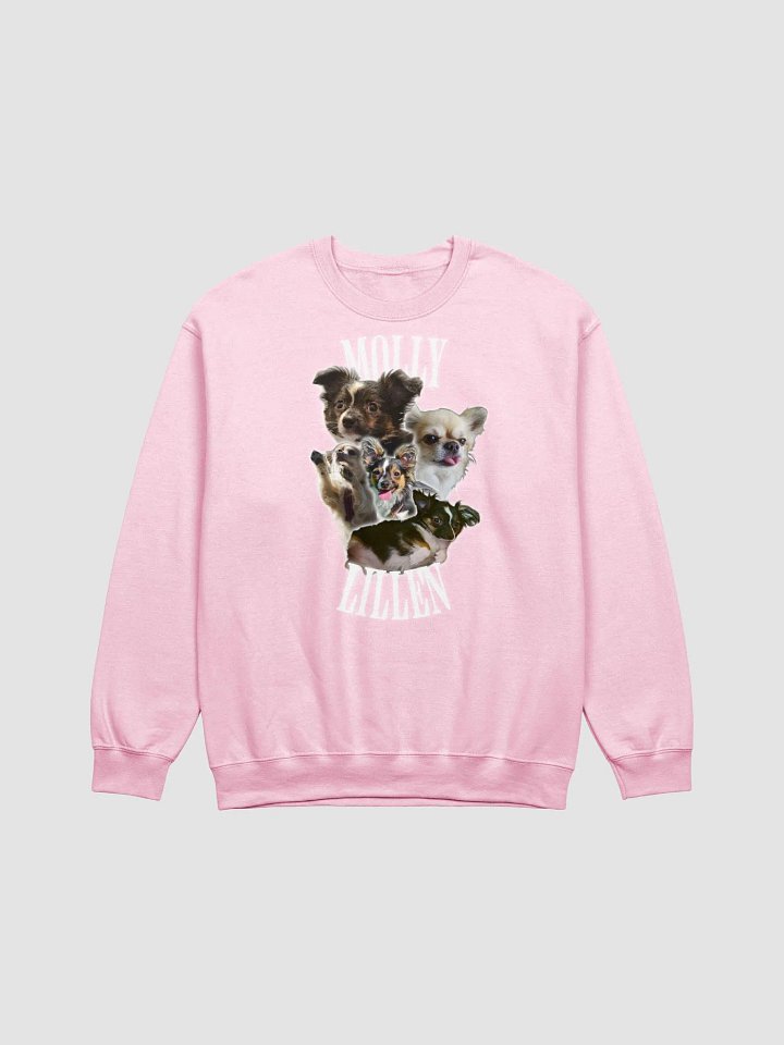 lillios molly sweatshirt product image (3)