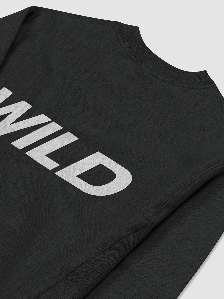 WILD ONES X Champion Crew Sweatshirt product image (3)