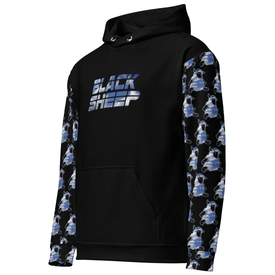 The Sky Is The Limit(Hoodie)(Black) product image (12)