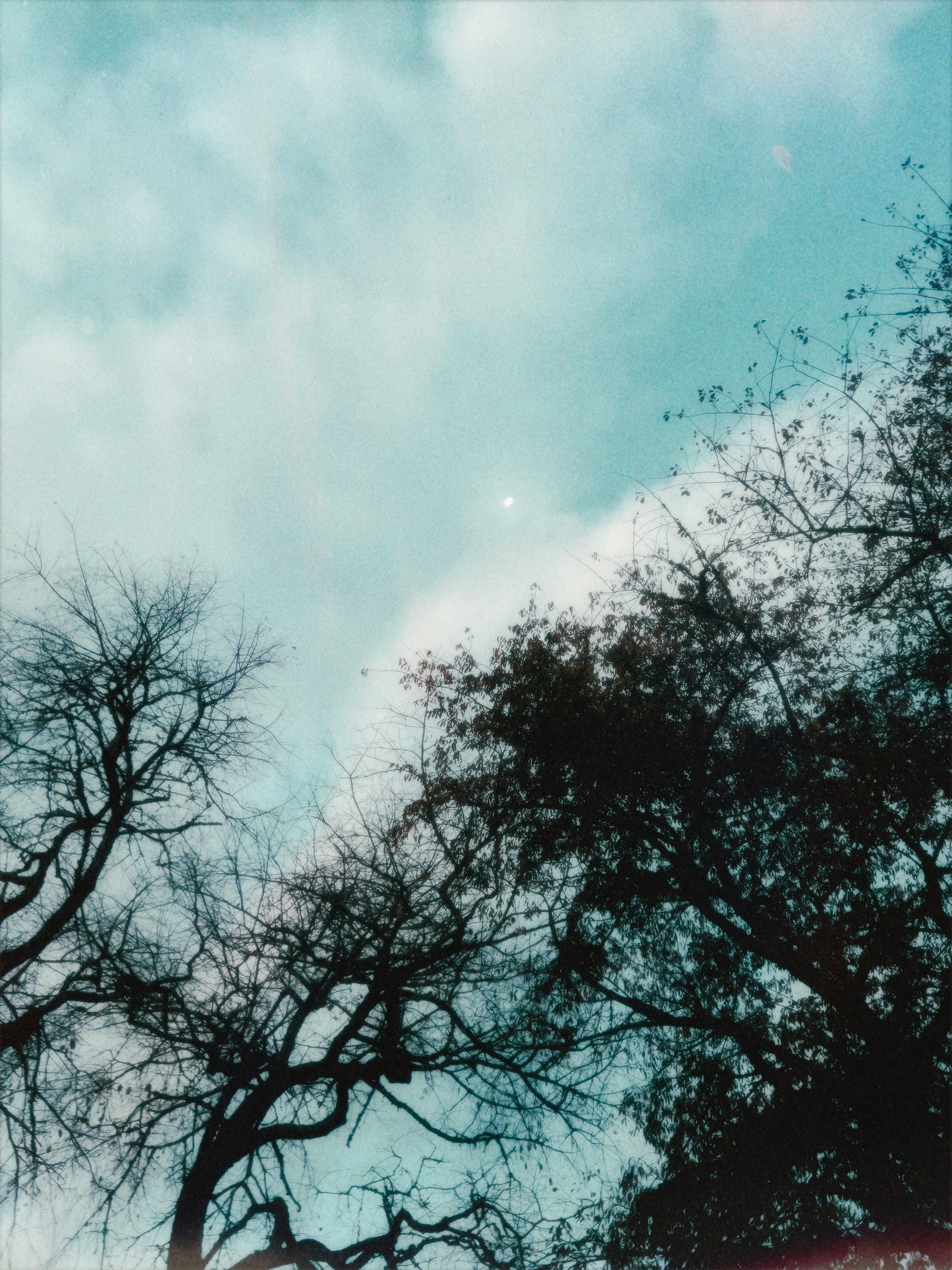 dawn product image (1)