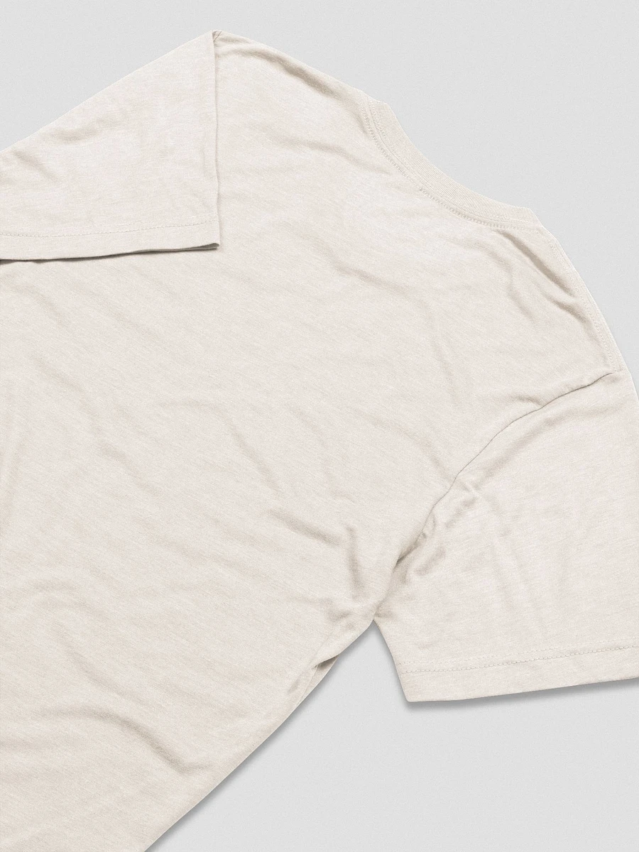 Retro Rose T-Shirt (Triblend) product image (33)