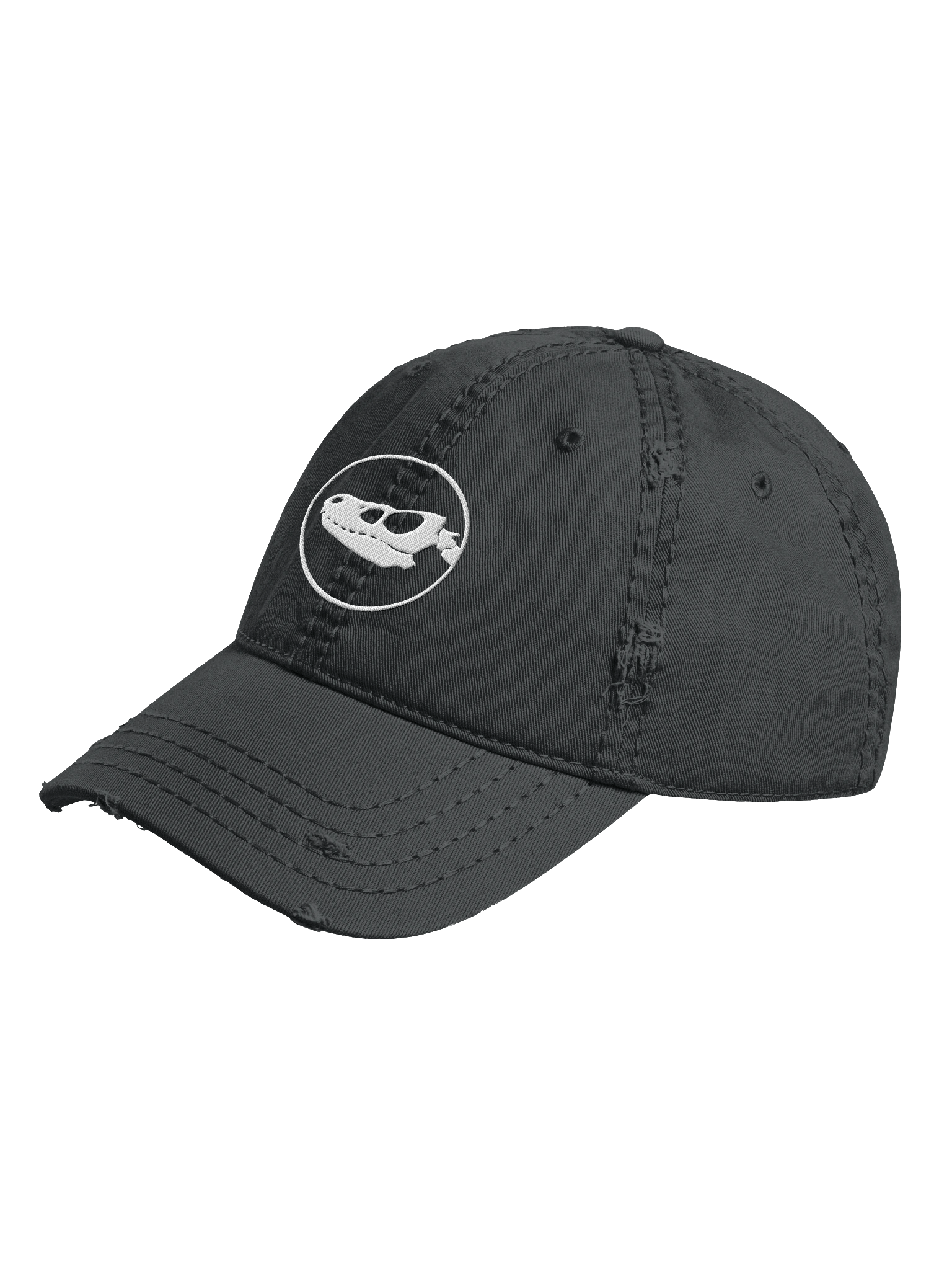 Raptor Sigil Cap product image (2)