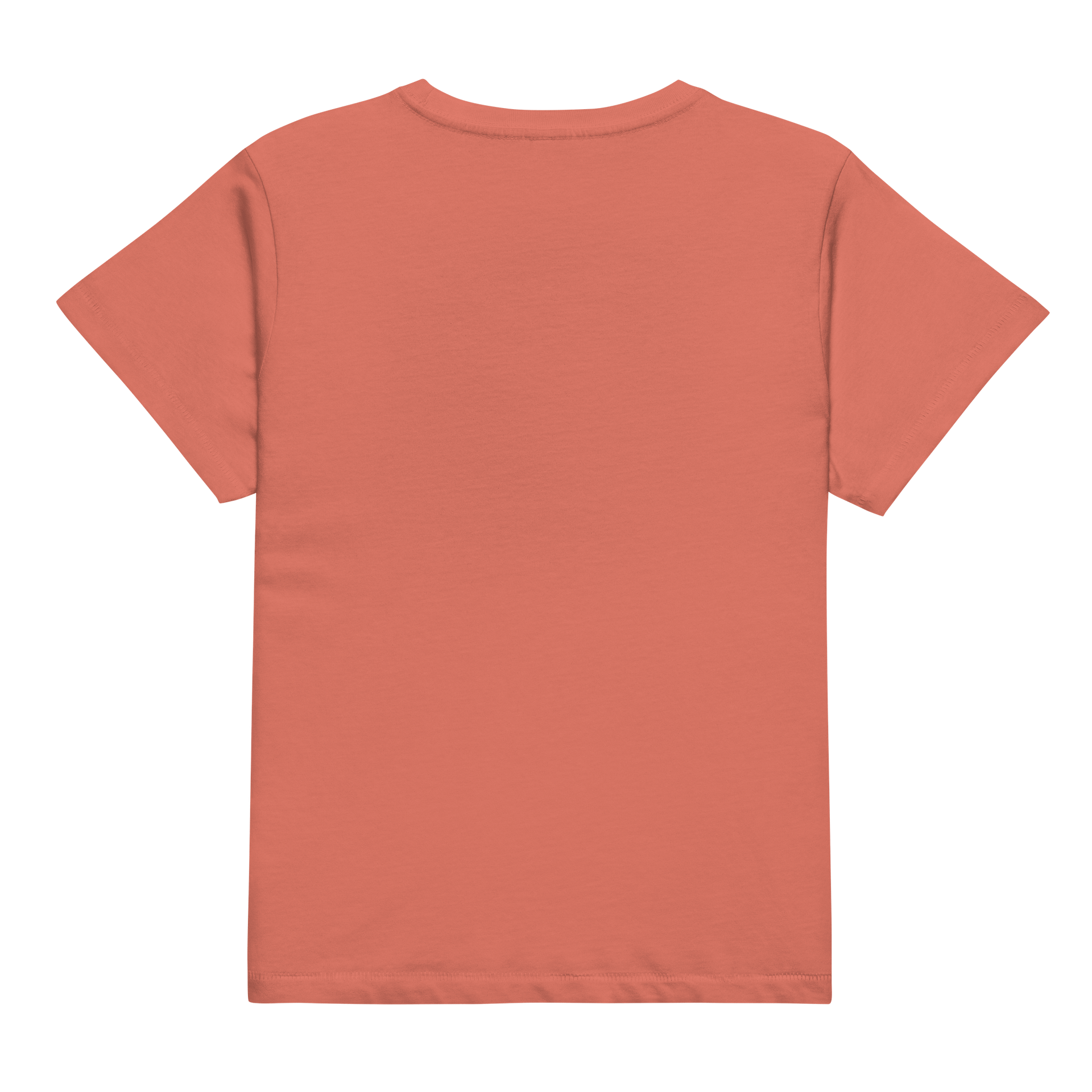 Wisdom Pathways Women's High-Waisted Tee product image (4)