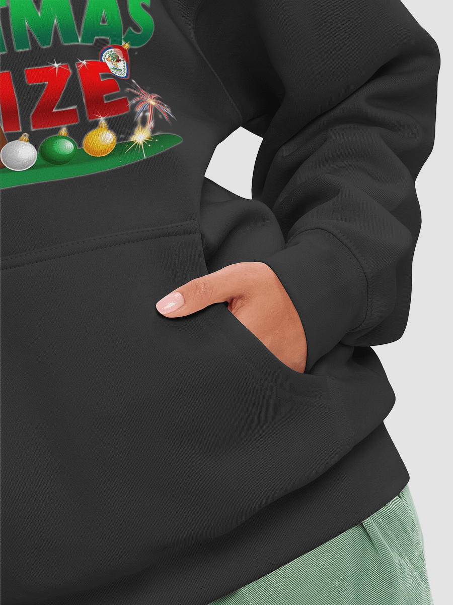 Tropical Belize Christmas Hoodie product image (8)
