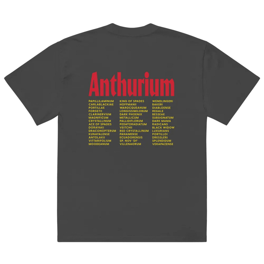 ⚡️ ANTHURIUM WORLD TOUR ⚡️ oversized tee product image (4)