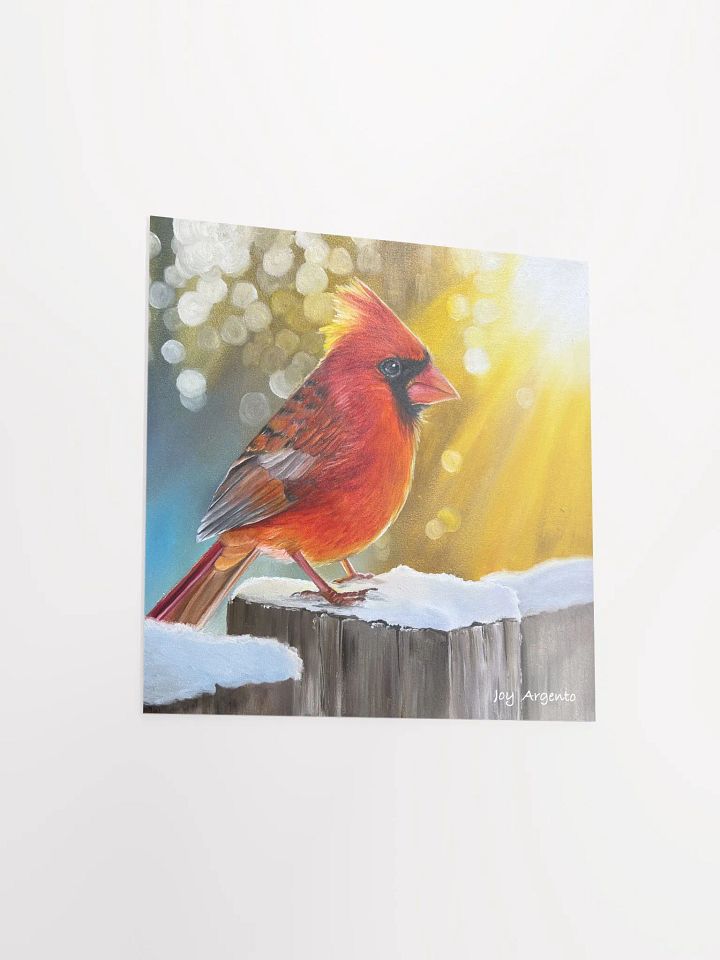 Cardinal in the Sunshine Print product image (2)