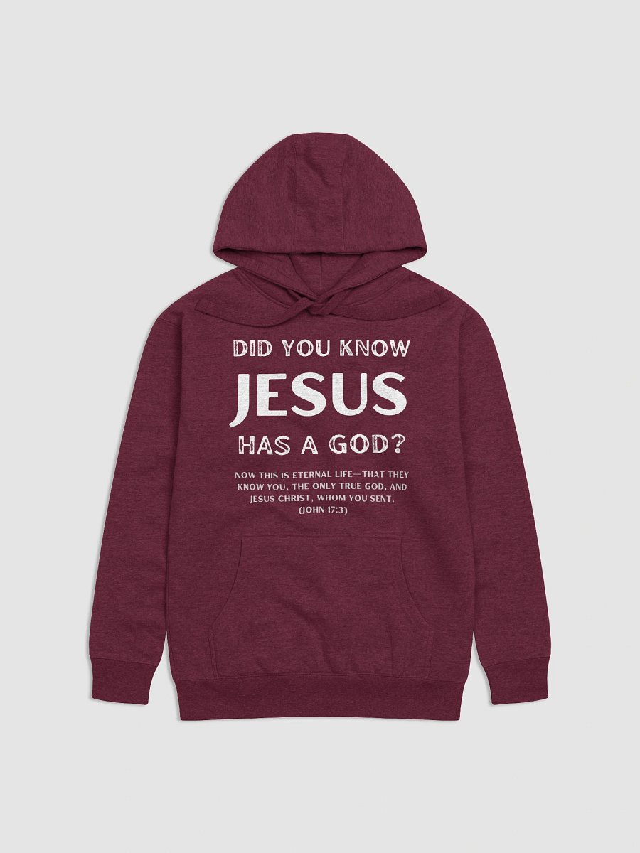 Jesus Had a God Unisex Premium Regular Fit Hoodie product image (5)