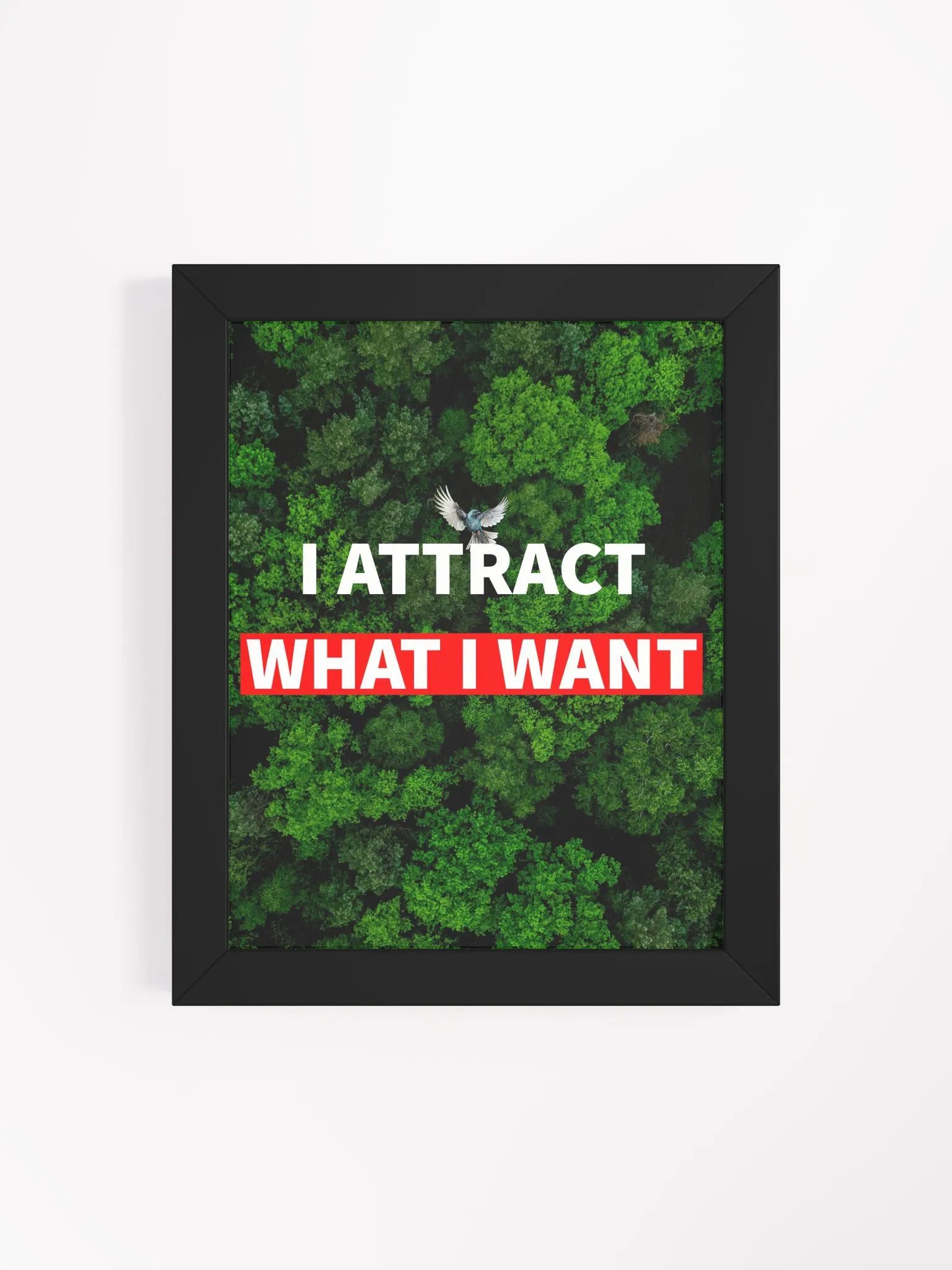 i attract what i want product image (16)