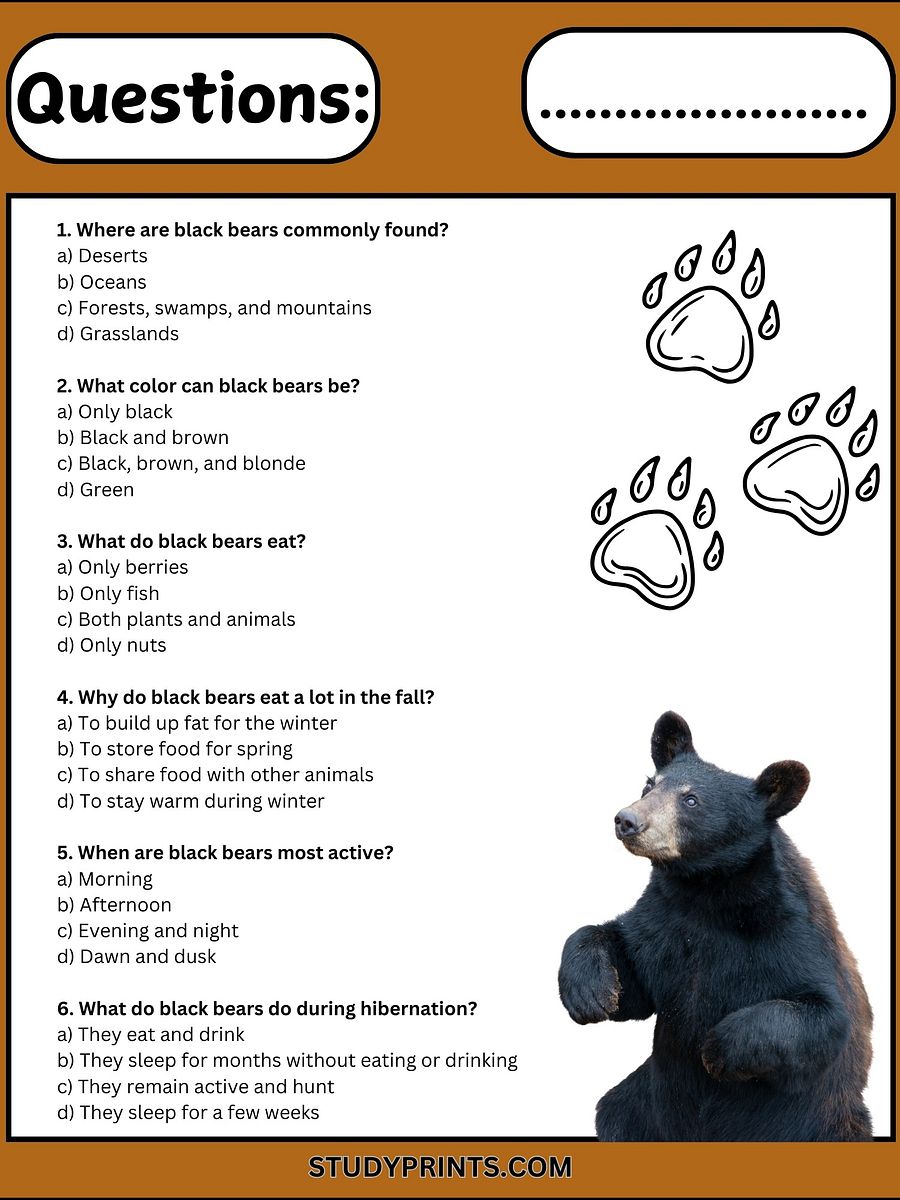 Black Bear Reading Comprehension Passage with 6 Questions product image (3)