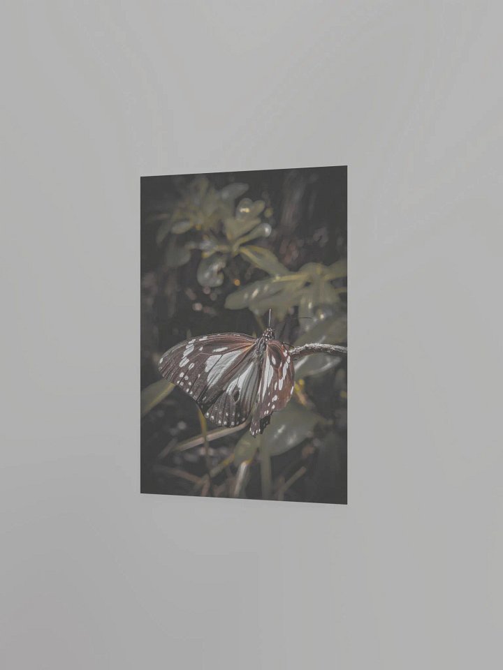 Butterfly product image (12)