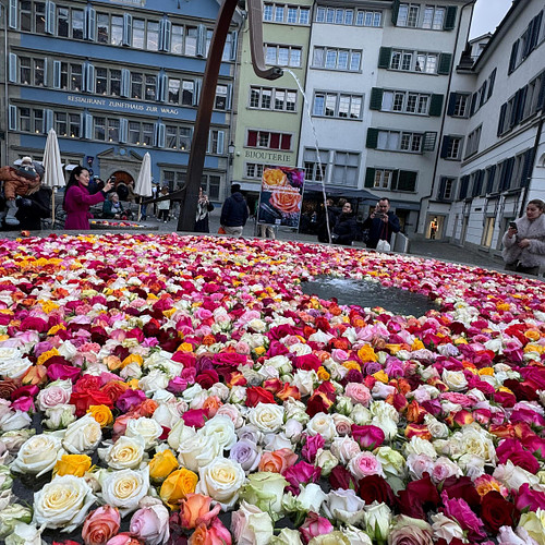🌹colors into people’s everyday lives🌹 Zurich transforms into an open-air gallery🌹🖼️ Officially starting tomorrow, (but these ...