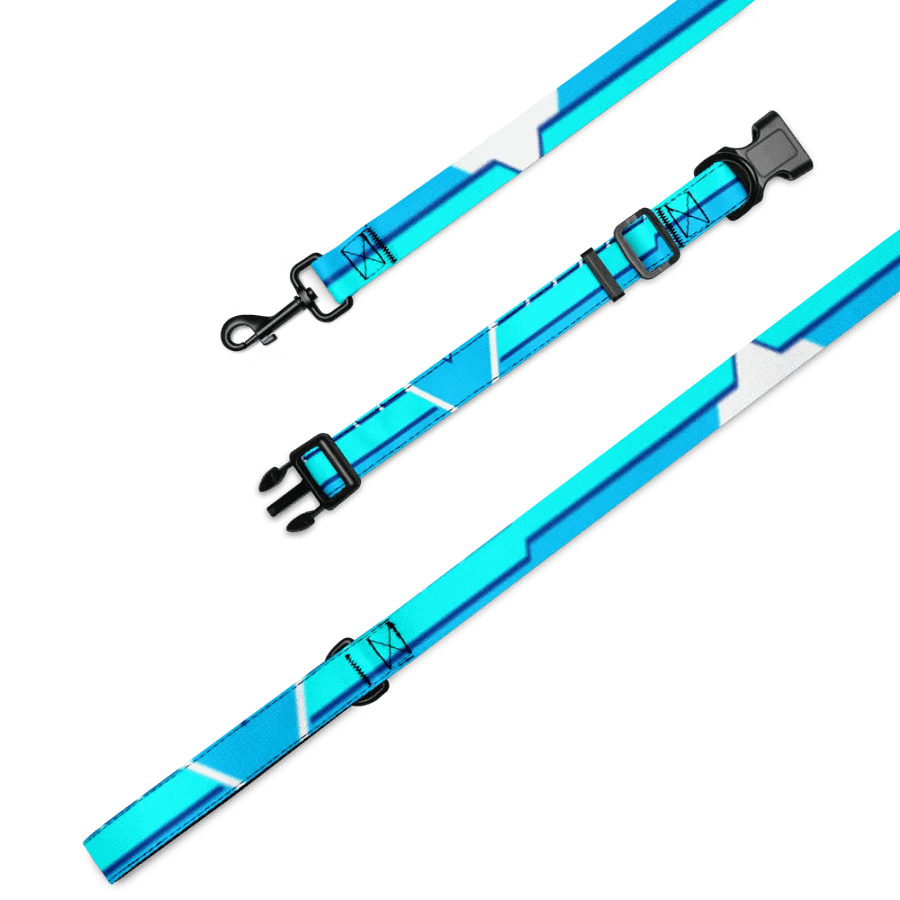 Cyber1 Pet Leash & Collar product image (1)