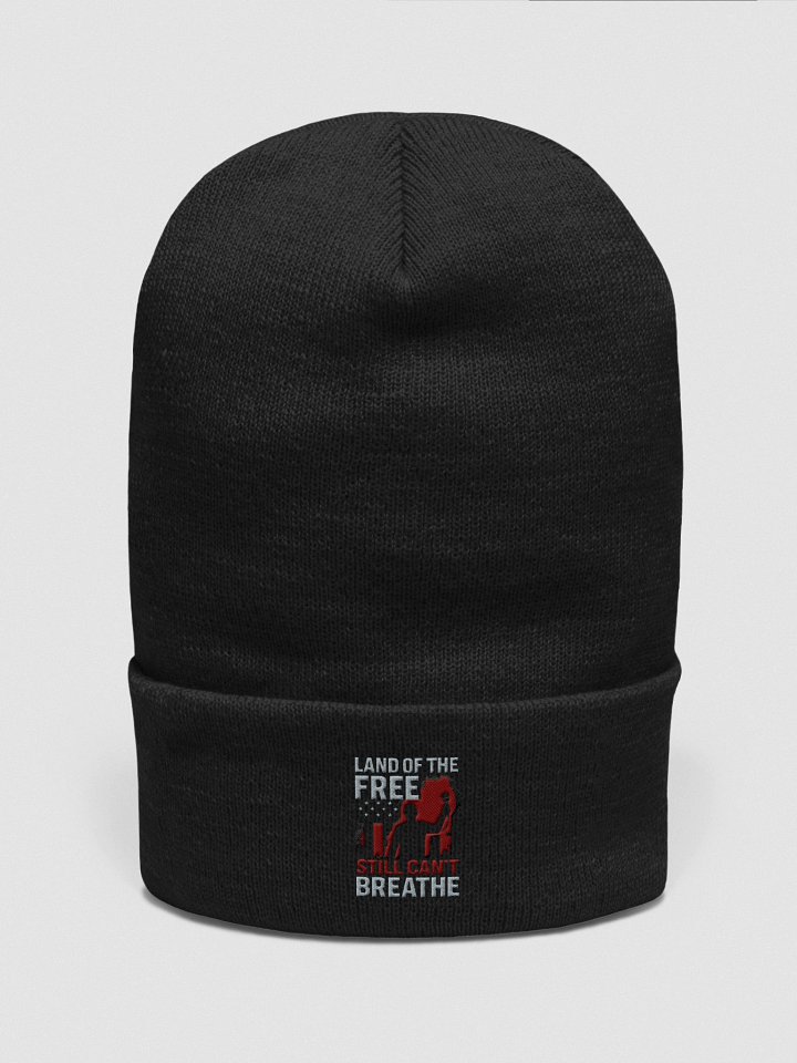 Unmuted America land of the free Beenie product image (1)