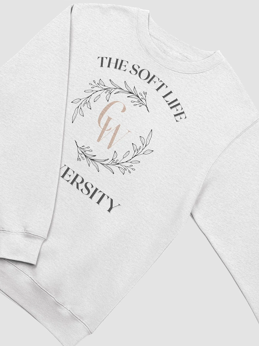 The Soft Life Sweatshirt | Oatmeal Heather product image (3)