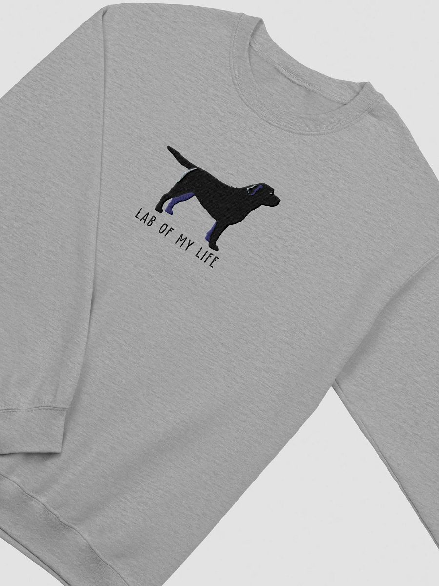 Lab of My Life Sweatshirt (Embroidered) of a Labrador Retriever(Black) product image (12)