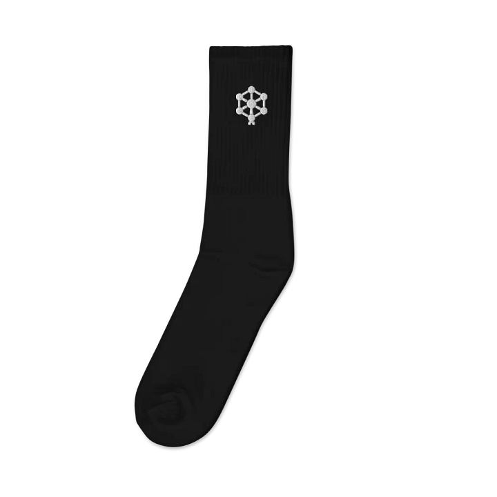 RB Embroidered Socks in Black product image (1)