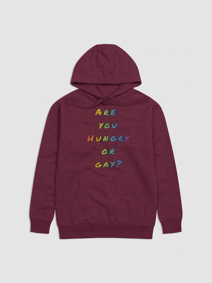 Hungry or gay hoodie product image (2)