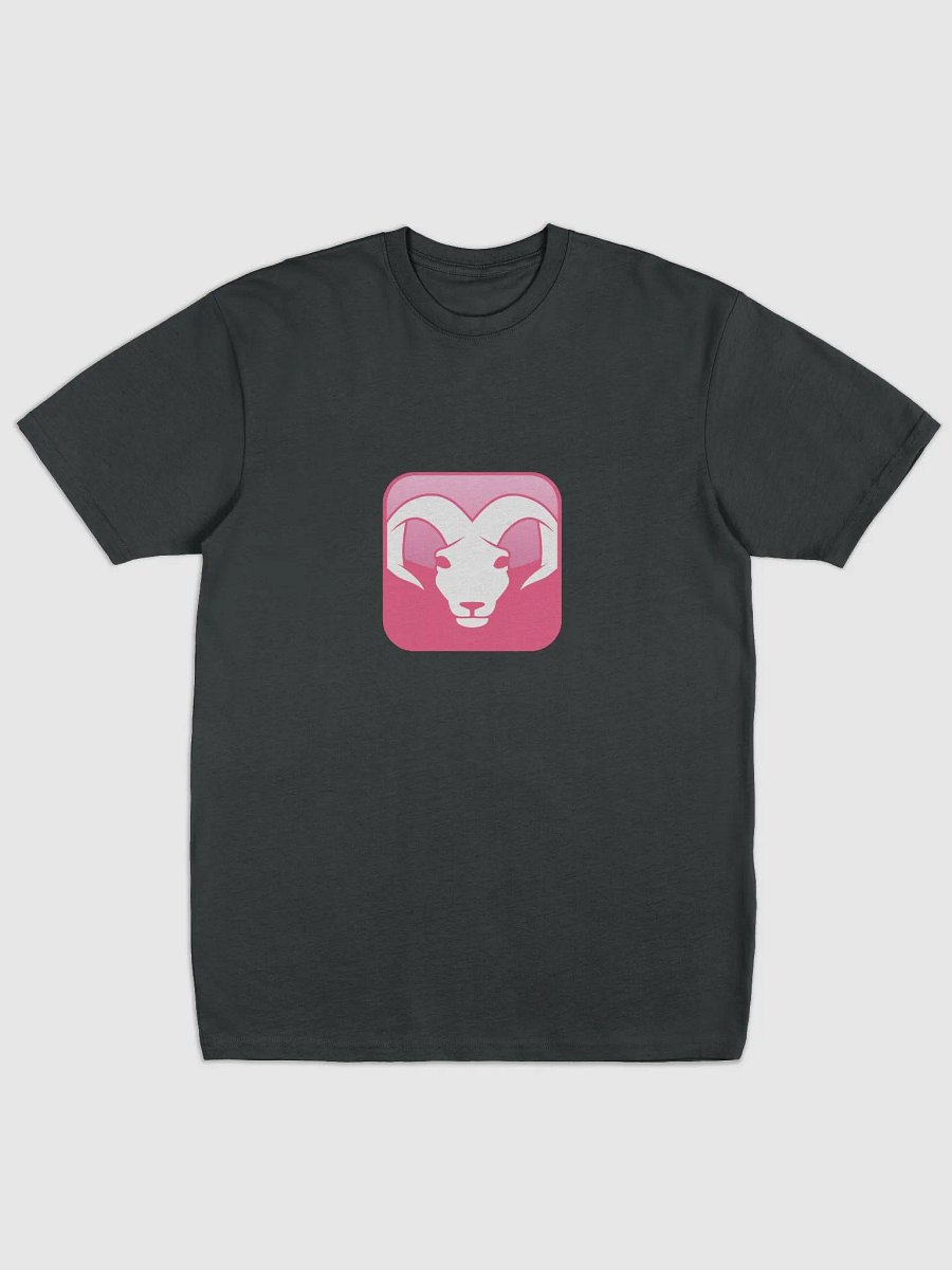 ARIES T-shirt product image (1)