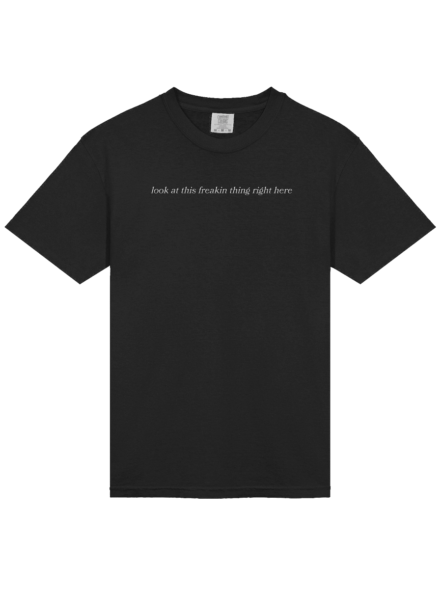 Look At This Freakin Thing Right Here T-Shirt (Comfort Colors, Soft Embroidered Edition) product image (3)