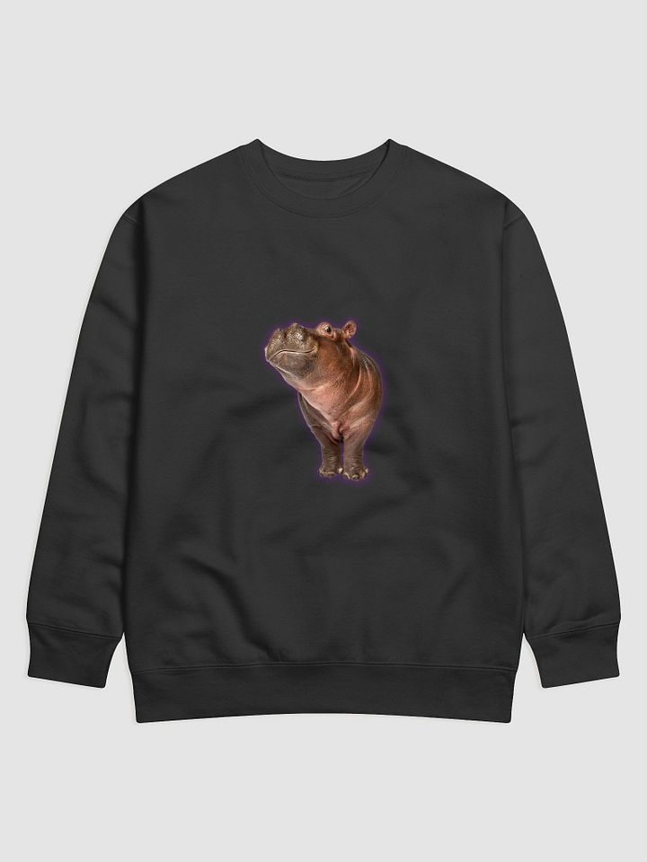 solo hippo product image (1)