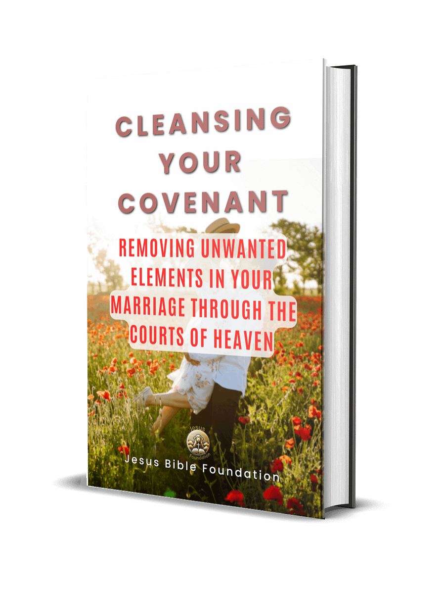 Cleansing Your Covenant: Removing Unwanted Elements in Your Marriage Through the Courts of Heaven product image (1)