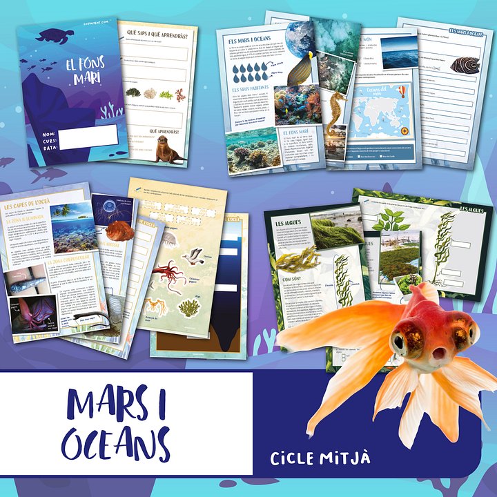 Mars i oceans product image (1)